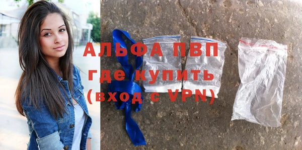 гашик Липки