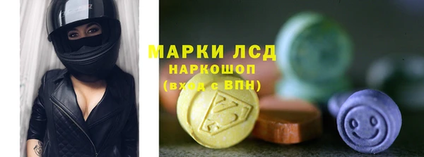 гашик Липки