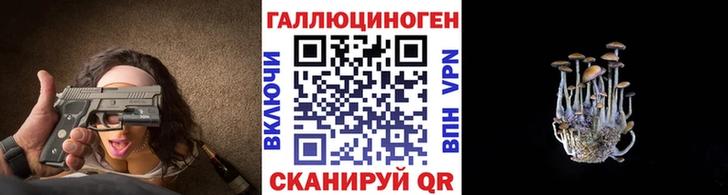 Псилоцибиновые грибы Psilocybe  Купить где  Константиновск 